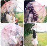 cherry blossoms umbrella cute transparent bubble umbrella clear dome semi automa