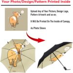 automatic compact umbrella