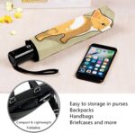 automatic compact umbrella