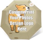 import placeholder for 8498