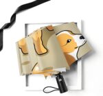 compact folding umbrella