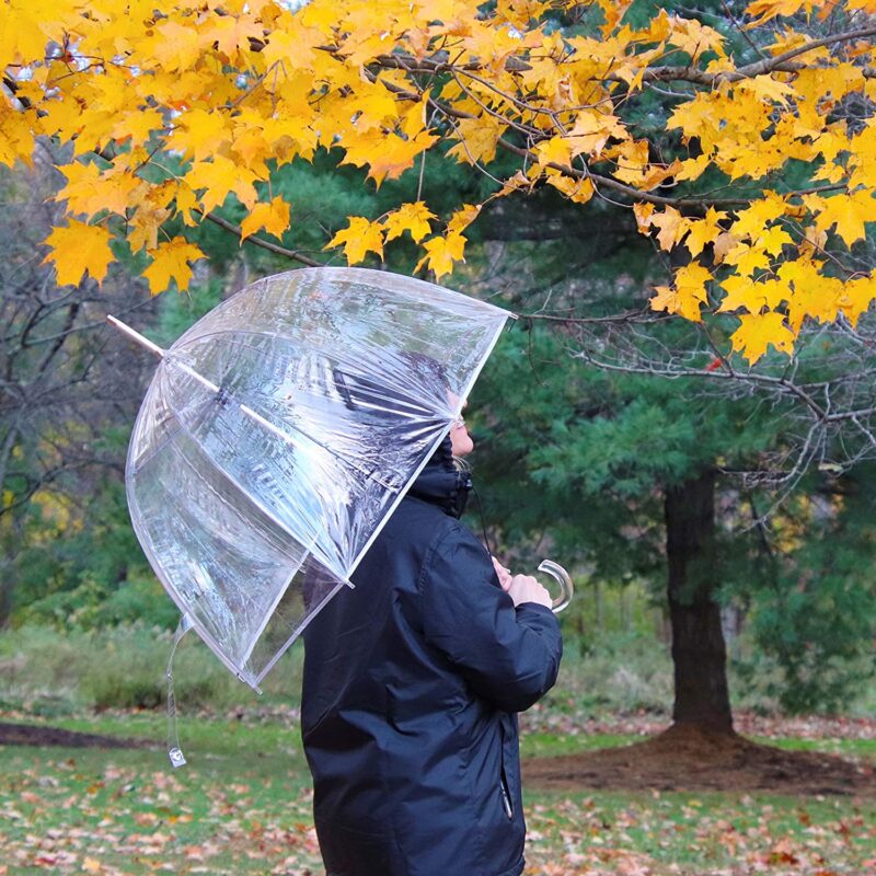 clear bubble wedding umbrella