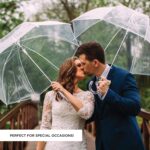 clear bubble wedding umbrella