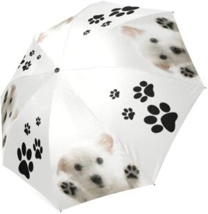 import placeholder for 8510