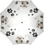 wece auto open close windproof compact umbrella