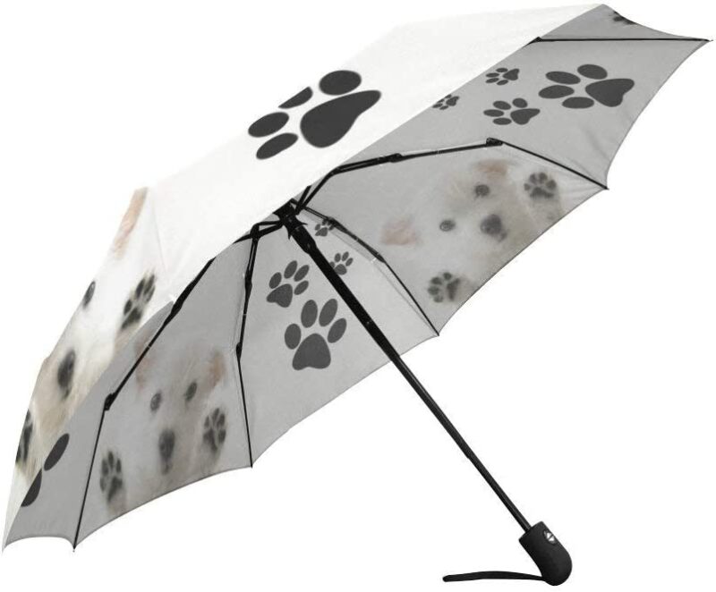 wece auto open close windproof compact umbrella