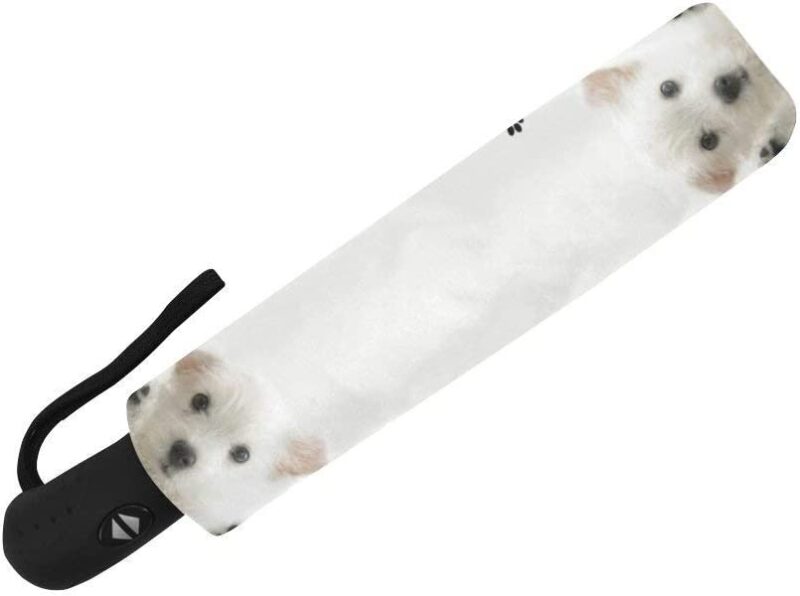 wece auto open close windproof compact umbrella