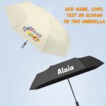 folding umbrella
