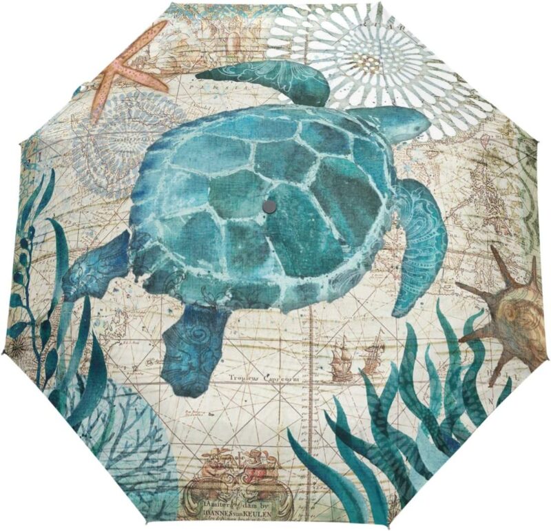 import placeholder for 8656