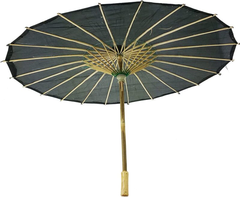 import placeholder for 8665