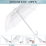 pack of 12 clear wedding umbrella