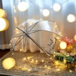 pcs clear bubble umbrella