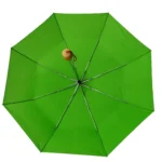 affordable compact folding umbrella