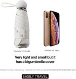 portable folding umbrella