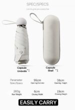 portable folding umbrella