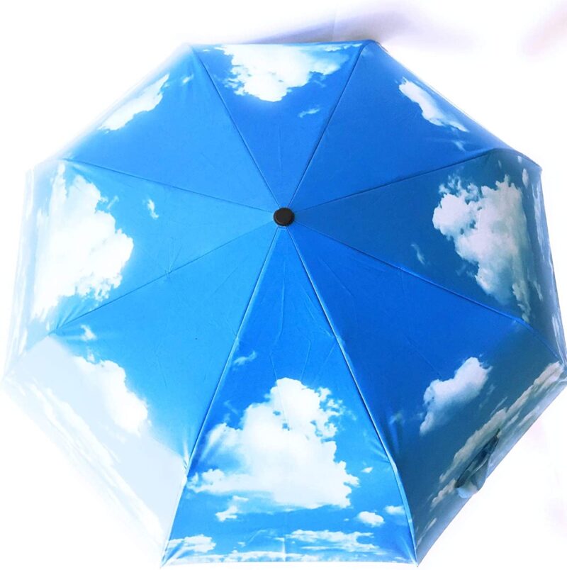 compact folding umbrella