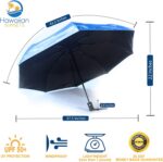 compact folding umbrella