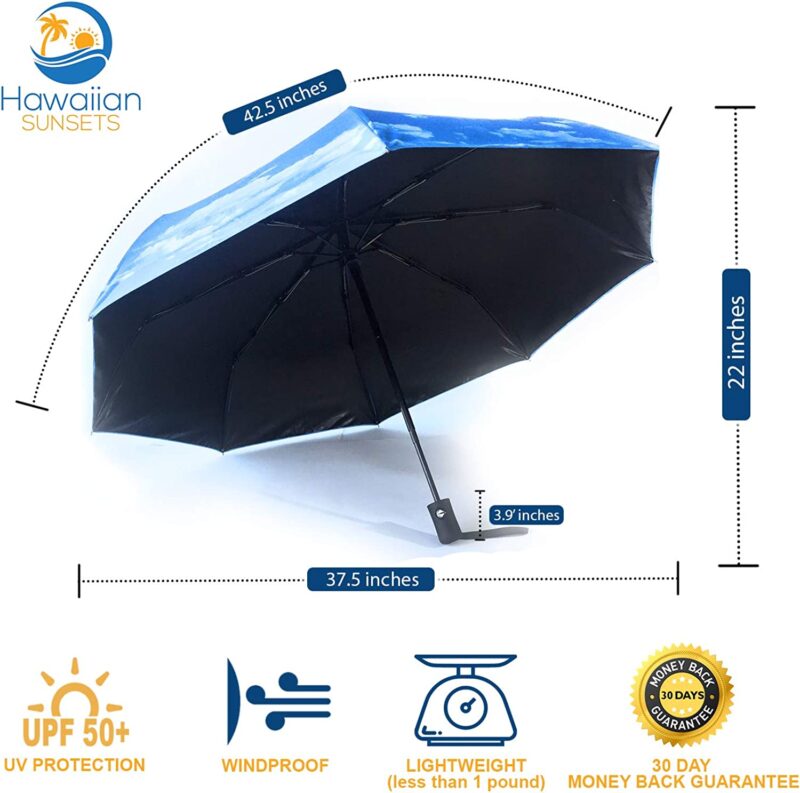 compact folding umbrella