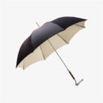 dragon straight umbrella