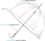 logo clear bubble umbrella