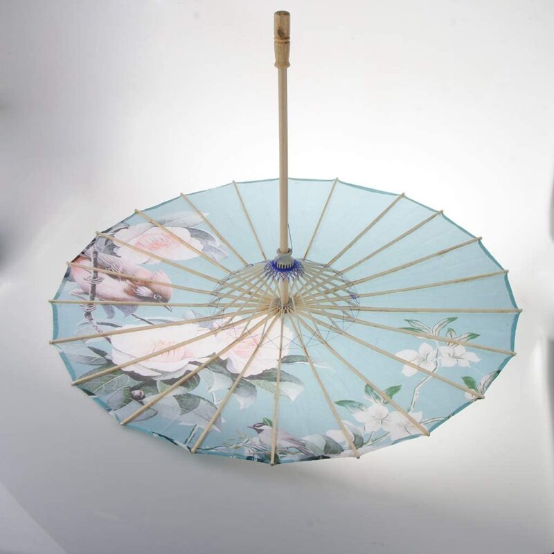 logo parasol