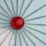logo parasol
