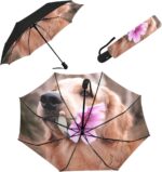 import placeholder for 8418