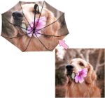 personalized dog automatic umbrella
