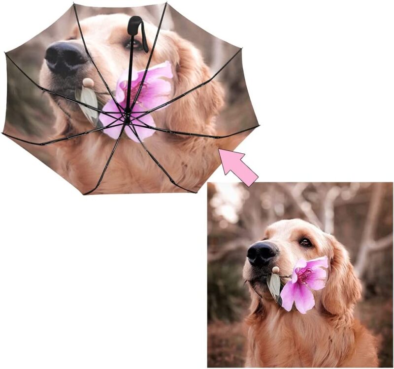 personalized dog automatic umbrella