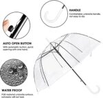 automatic windproof clear bubble wedding umbrella