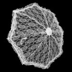 wedding bridal umbrella white decorative lace embroidery umbrella for wedding stage show decoration 48 5cm x 43 5cm / 19