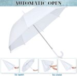 pcs oversized umbrella