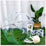 clear wedding umbrella