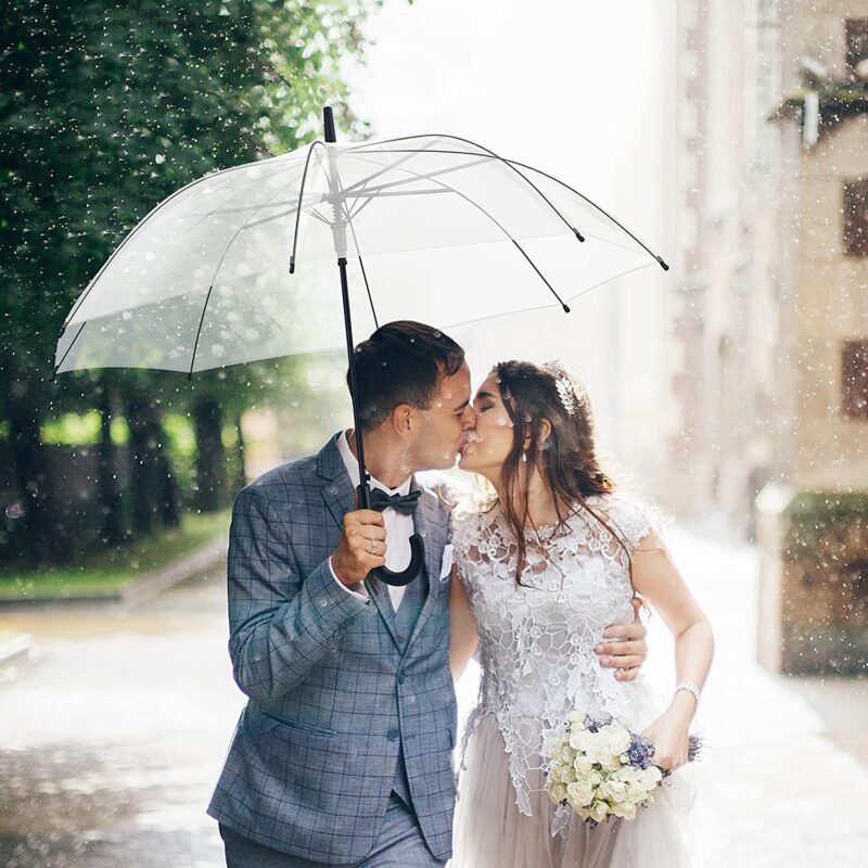 pack of 36 packs clear umbrella