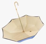 daiqing blue long handle umbrella