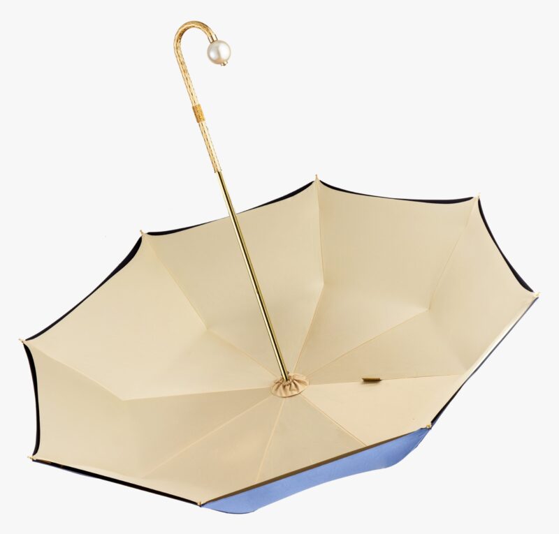daiqing blue long handle umbrella