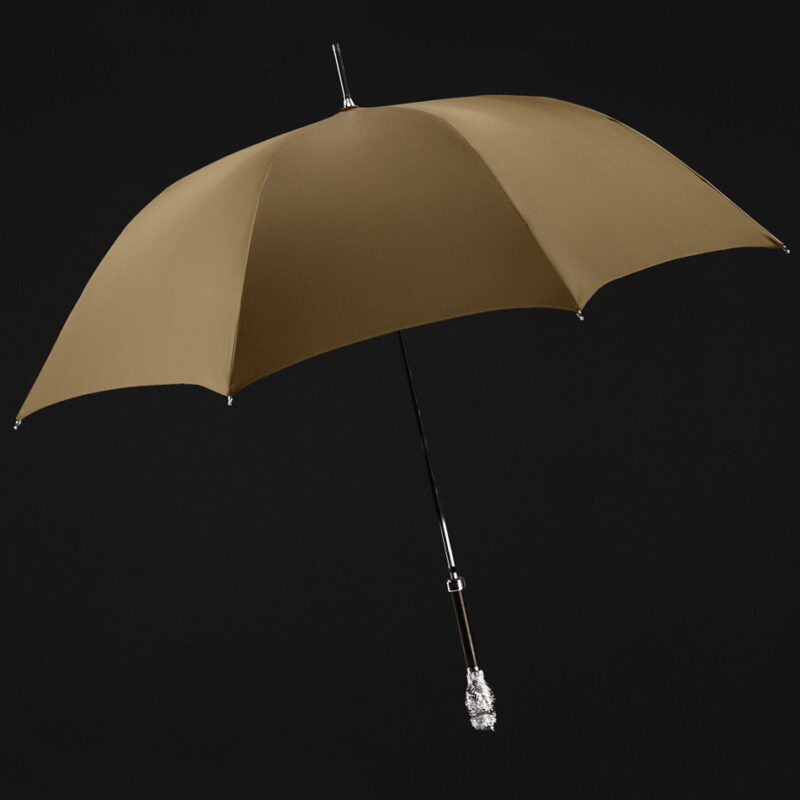 import placeholder for 7965