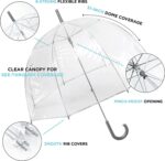 clear bubble umbrella