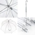 clear bubble umbrella