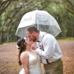 clear bubble umbrella