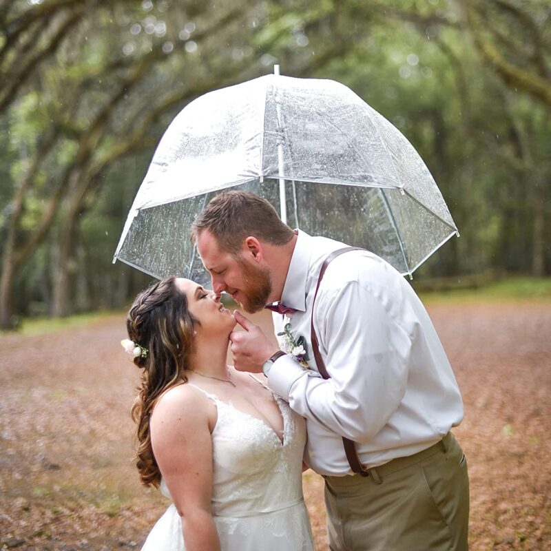 clear bubble umbrella