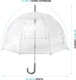 clear bubble umbrella