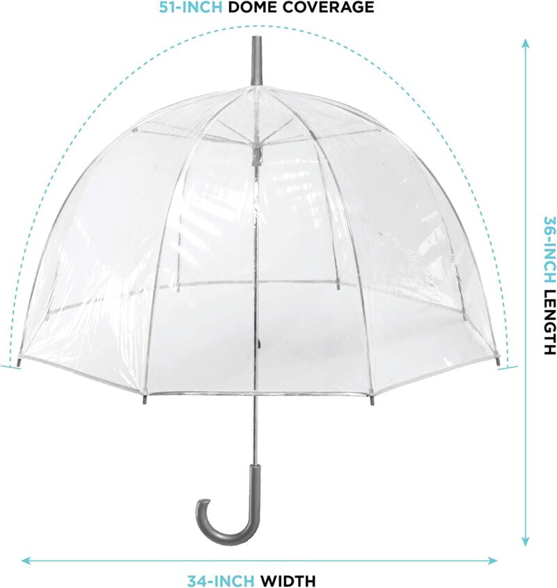 clear bubble umbrella