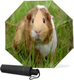 import placeholder for 8839