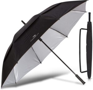 import placeholder for 8241