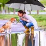 windproof uv protection waterproof golf umbrella