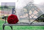 automatic clear wedding umbrella
