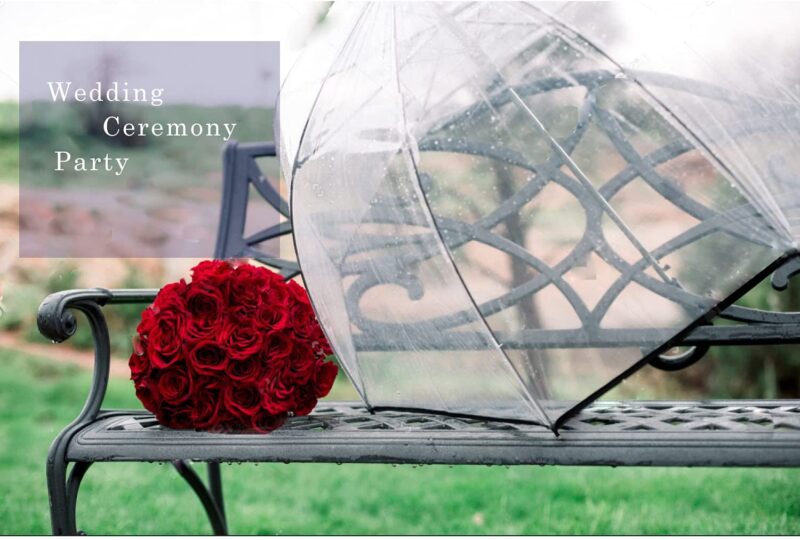 automatic clear wedding umbrella