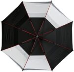double canopy umbrella
