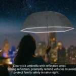 windproof oversized clear bubble wedding umbrella